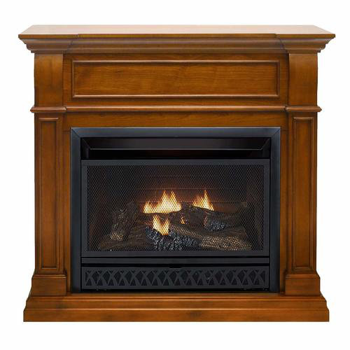 Darby Home Co Duluth Forge Vent Free Natural Gas/Propane Fireplace